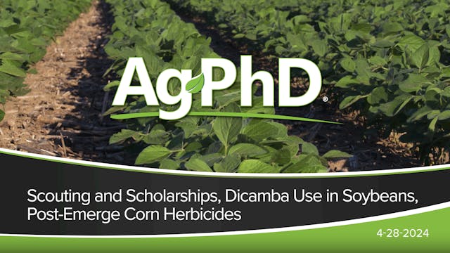 Scouting and Scholarships, Dicamba Us...