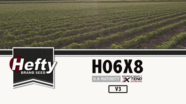 H06X8 | 0.6-Maturity | Xtend