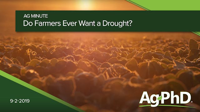 Do Farmers Ever Want a Drought?