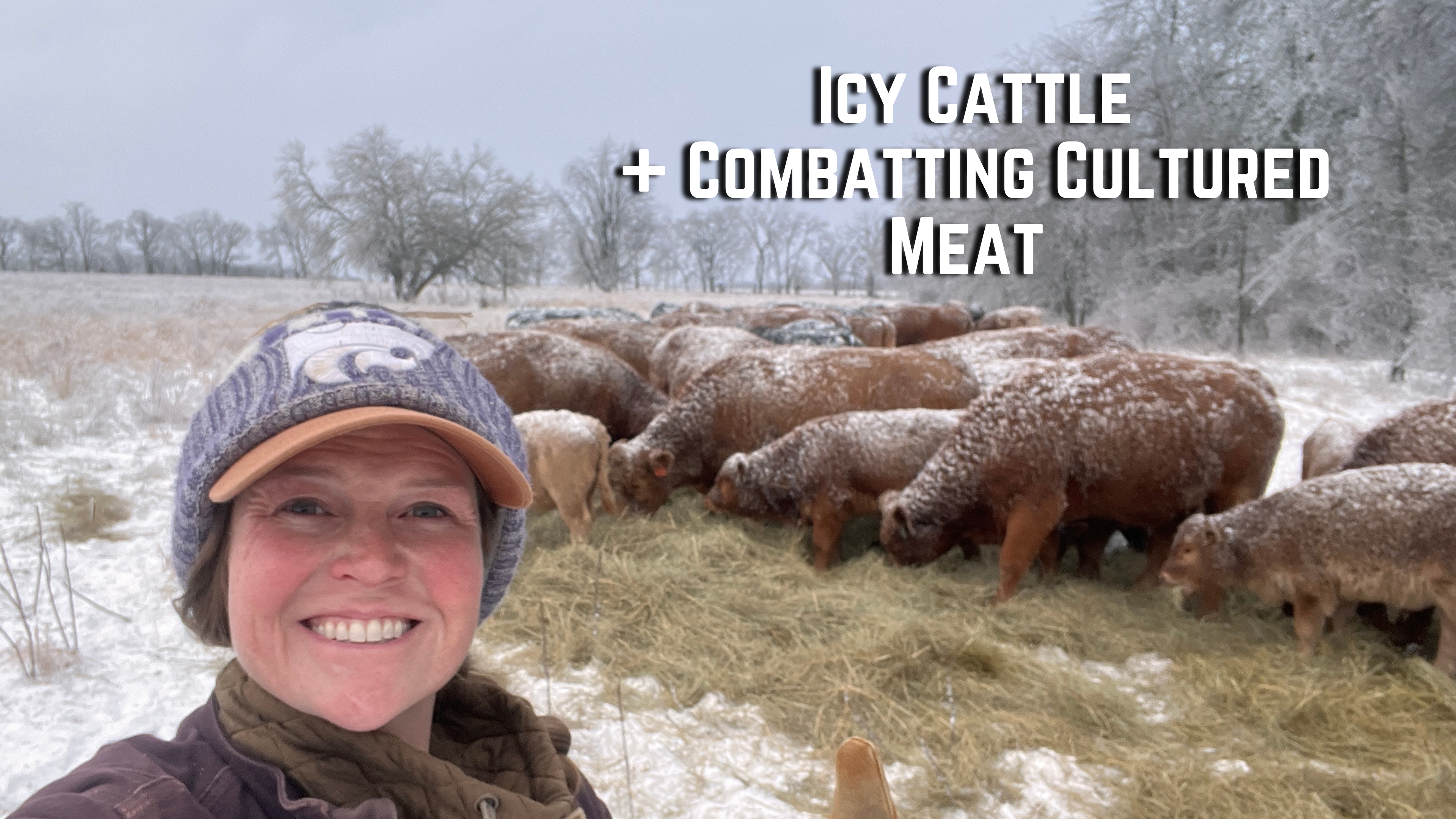 Icy Cattle + Combatting Cultured Meat | Buzzard's Beat