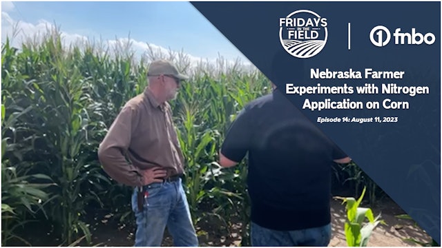 Nebraska Farmer Experiments with Nitrogen Application on Corn | Rural Radio Net.