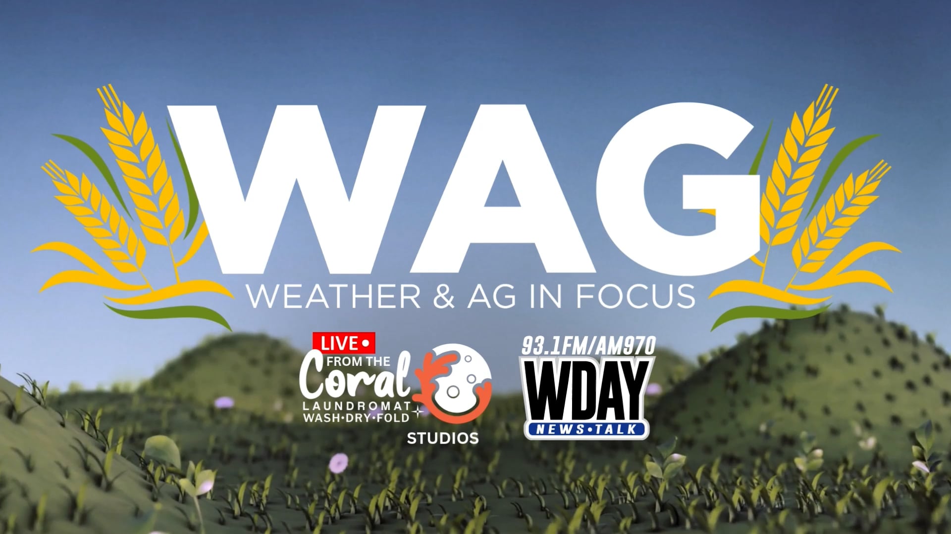 Half Century of Progress Highlights | WAG in Focus 09-15-25