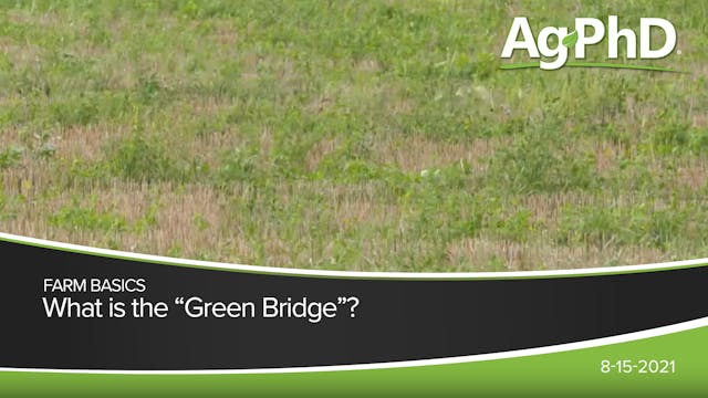 What Is The Green Bridge?