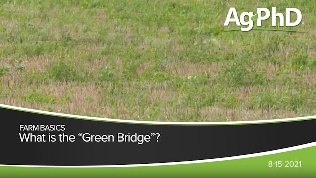 What Is The Green Bridge? | Ag PhD