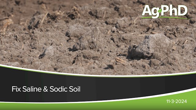 Fix Saline & Sodic Soil | Ag PhD