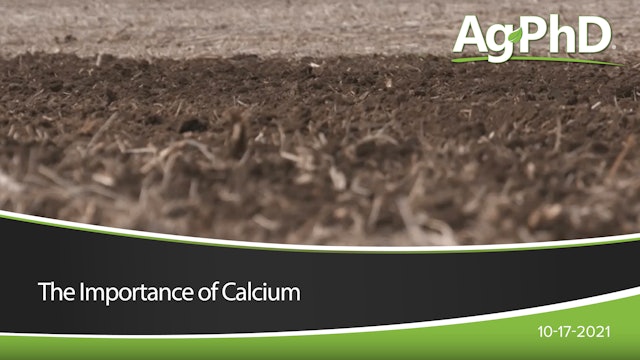 The Importance of Calcium | Ag PhD
