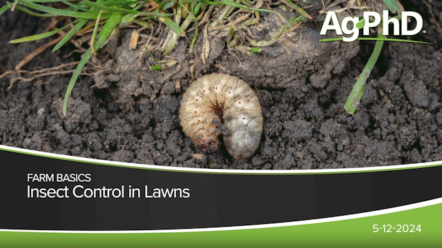 Insect Control in Lawns | Ag PhD