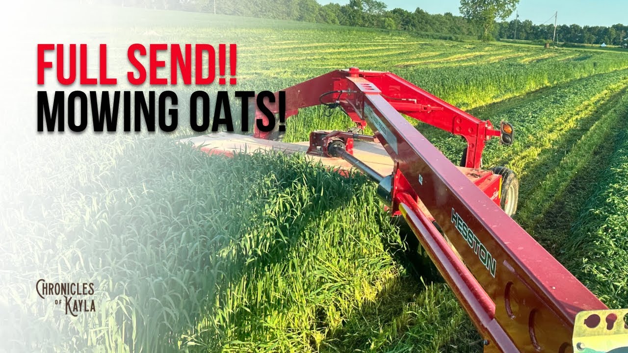 FULL Send - Mowing the Forage Oats | Chronicles of Kayla | Episode 7