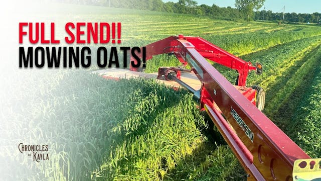 FULL Send - Mowing the Forage Oats | ...