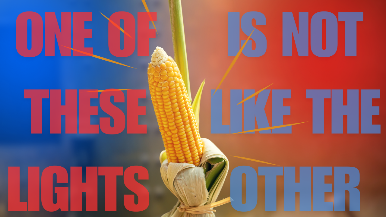 Great Scott, it's Great Greens! | WAG in Focus 12-02-24