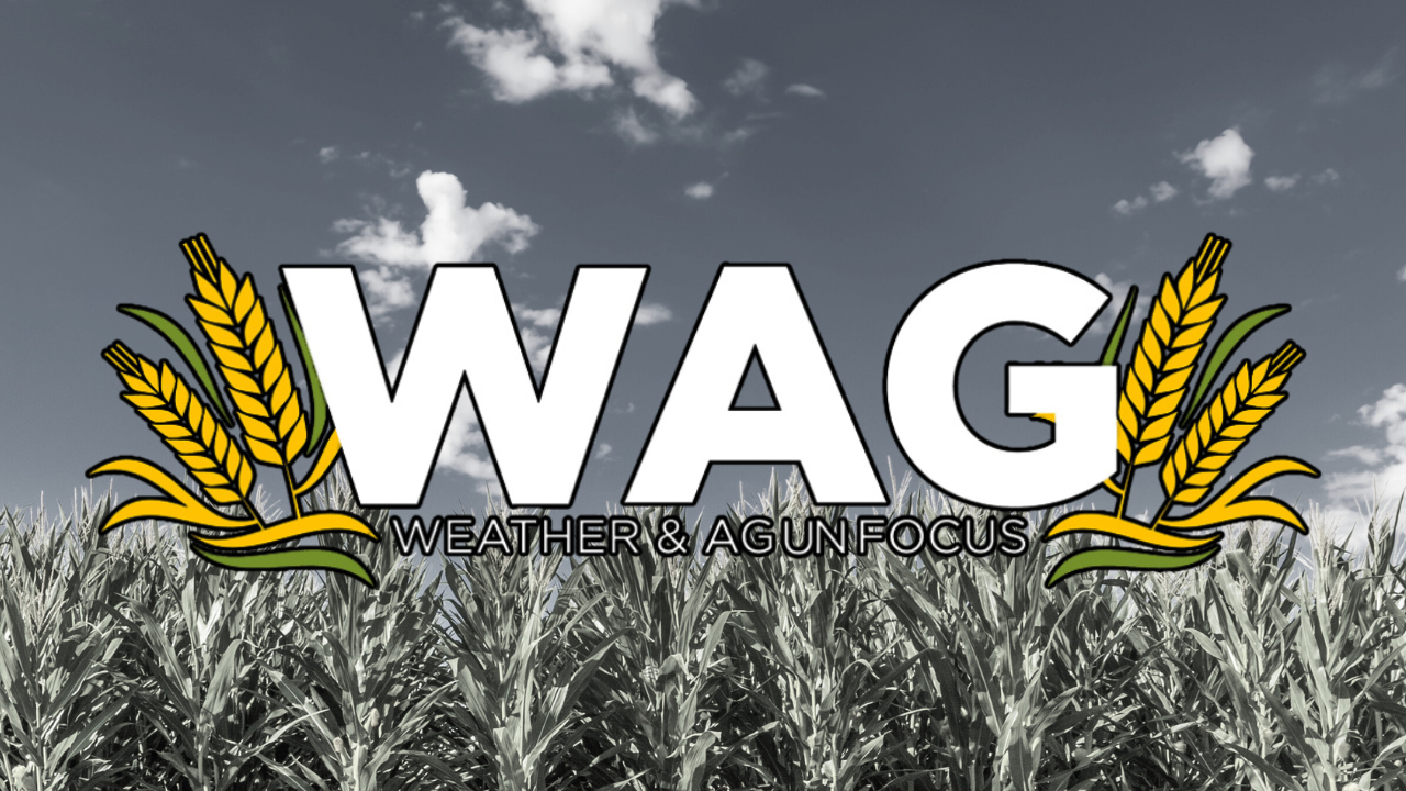 September Suicide Awareness for Farmers | WAG in Focus 09-25-25