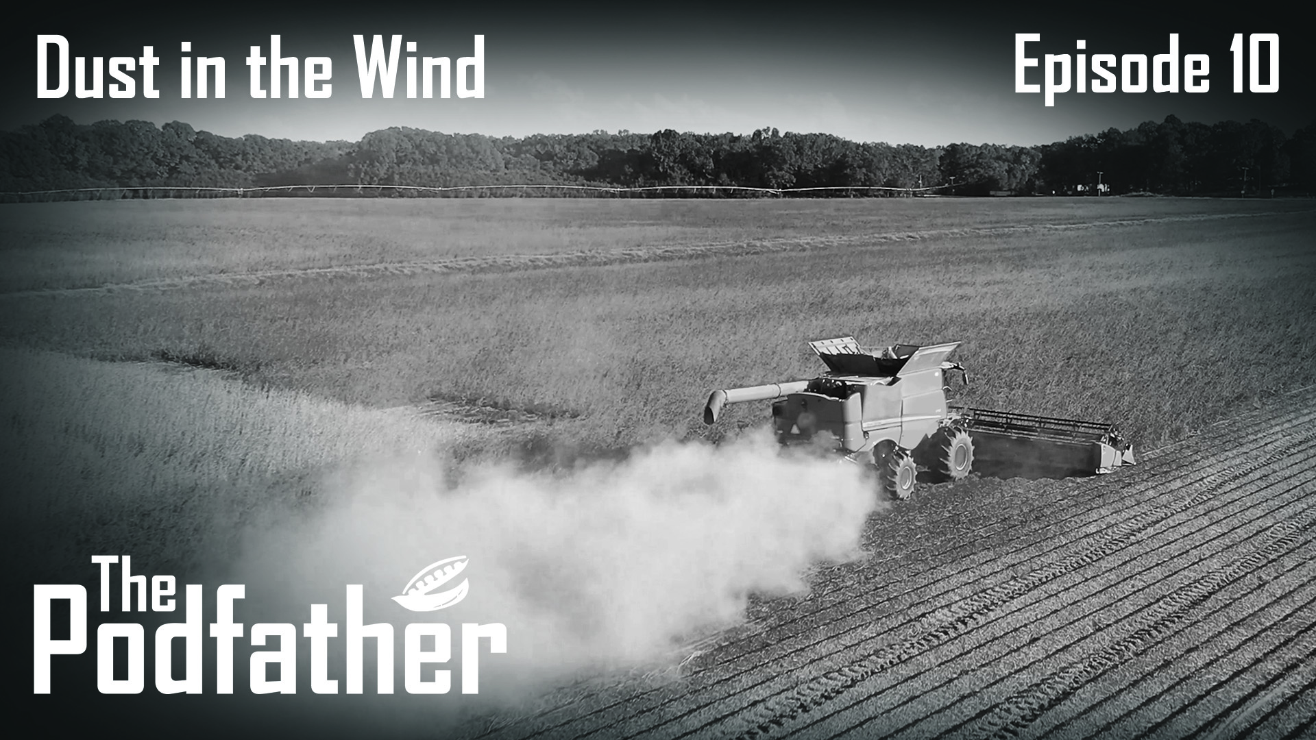 The Podfather | 110 | Dust in the Wind