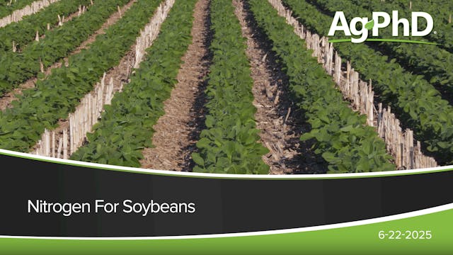 Nitrogen for Soybeans | Ag PhD