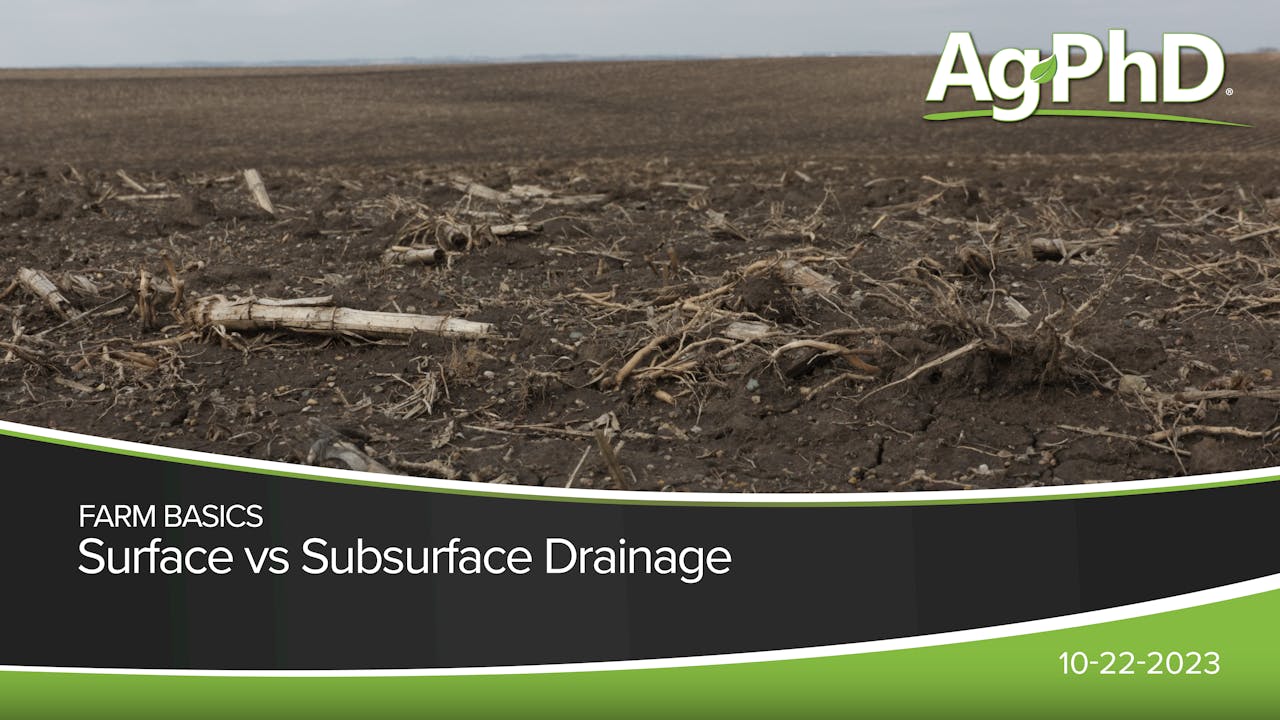 Surface vs Subsurface Drainage | Ag PhD - 2023 - AcresTV