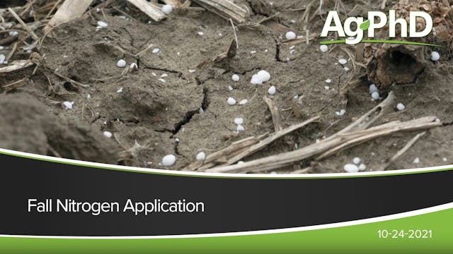 Fall Nitrogen Application | Ag PhD