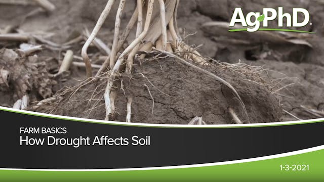 How Drought Affects Soil | Ag PhD
