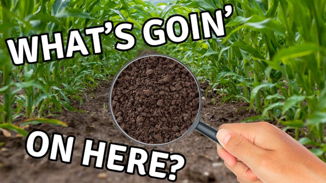 What's Going on Under Your Crop? | WA...