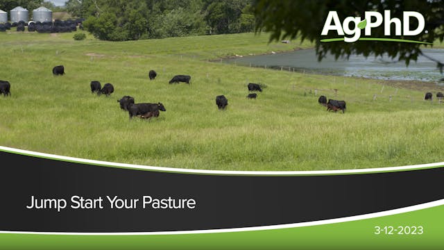Jump Start Your Pasture | Ag PhD
