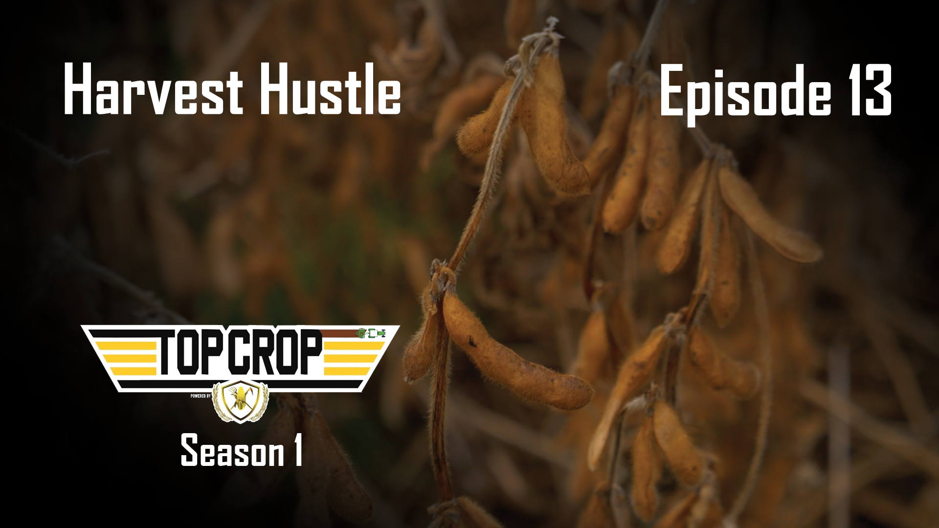 Harvest Hustle | Top Crop