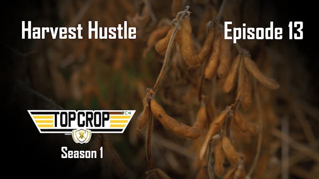 Harvest Hustle | Top Crop