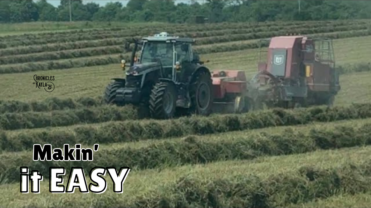 Bettering Our Operation | Chronicles of Kayla