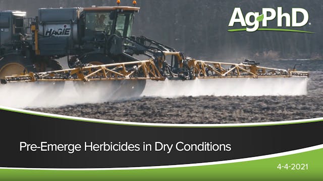 Pre-Emerge Herbicides in Dry Conditions
