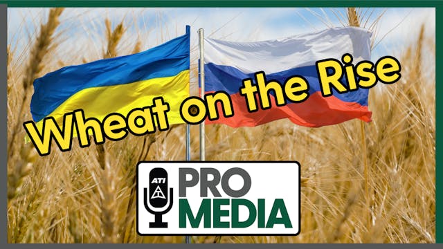 Wheat on the Rise | ATI ProMedia 09/1...