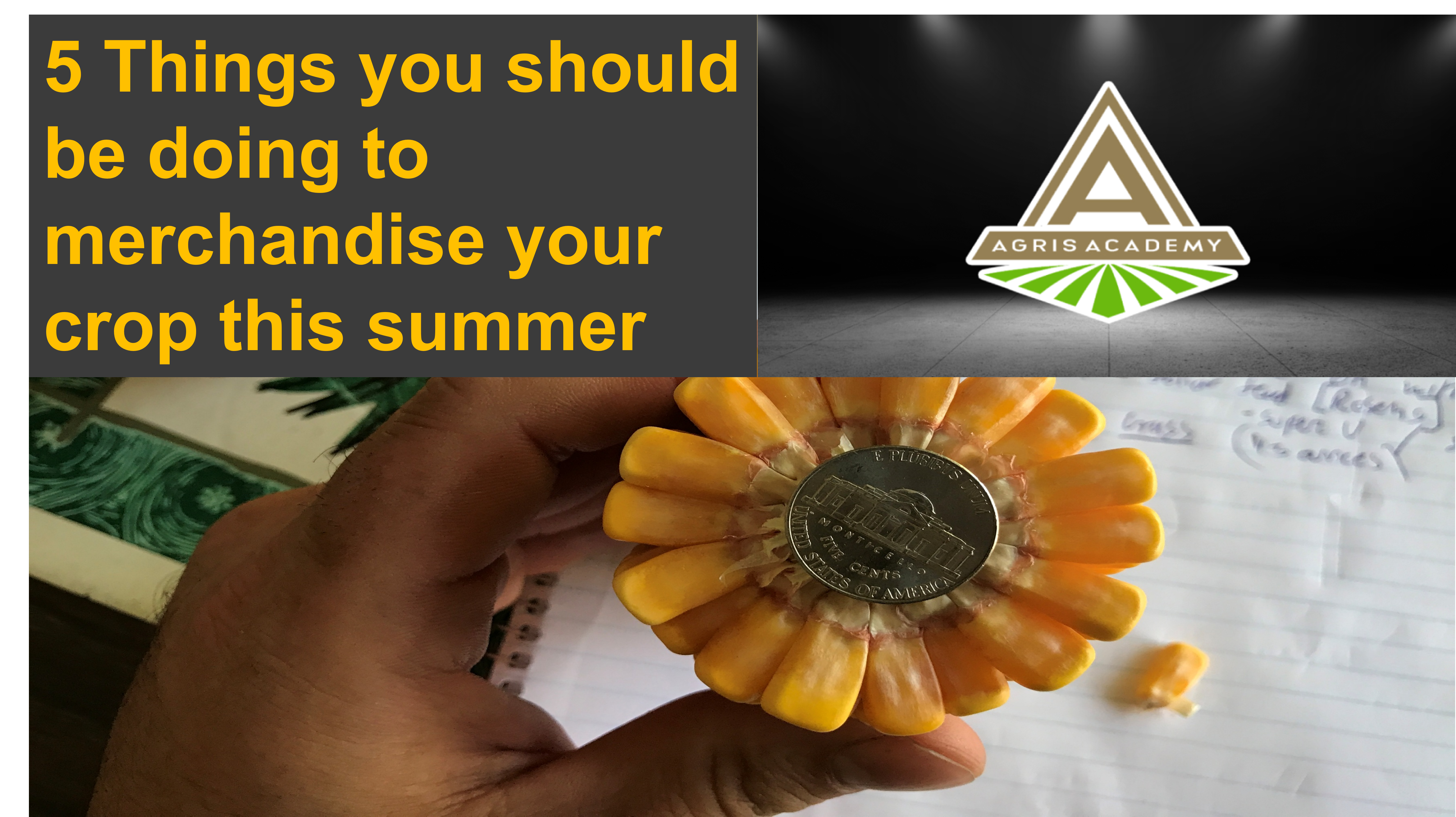 Summer Merchandising Tips | AgrisAcademy