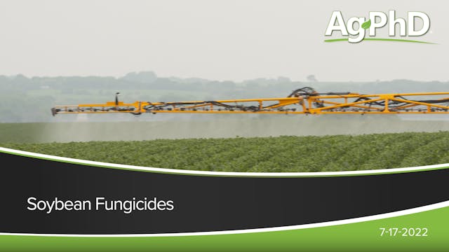 Soybean Fungicides | Ag PhD