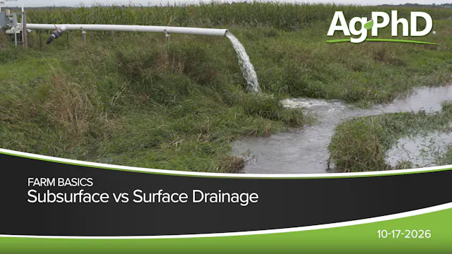 Subsurface vs Surface Drainage | Ag PhD