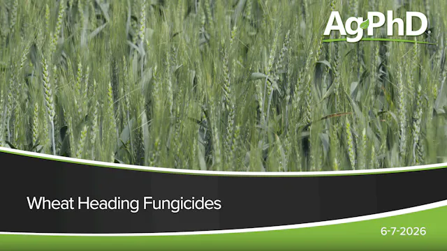 Wheat Heading Fungicides | Ag PhD