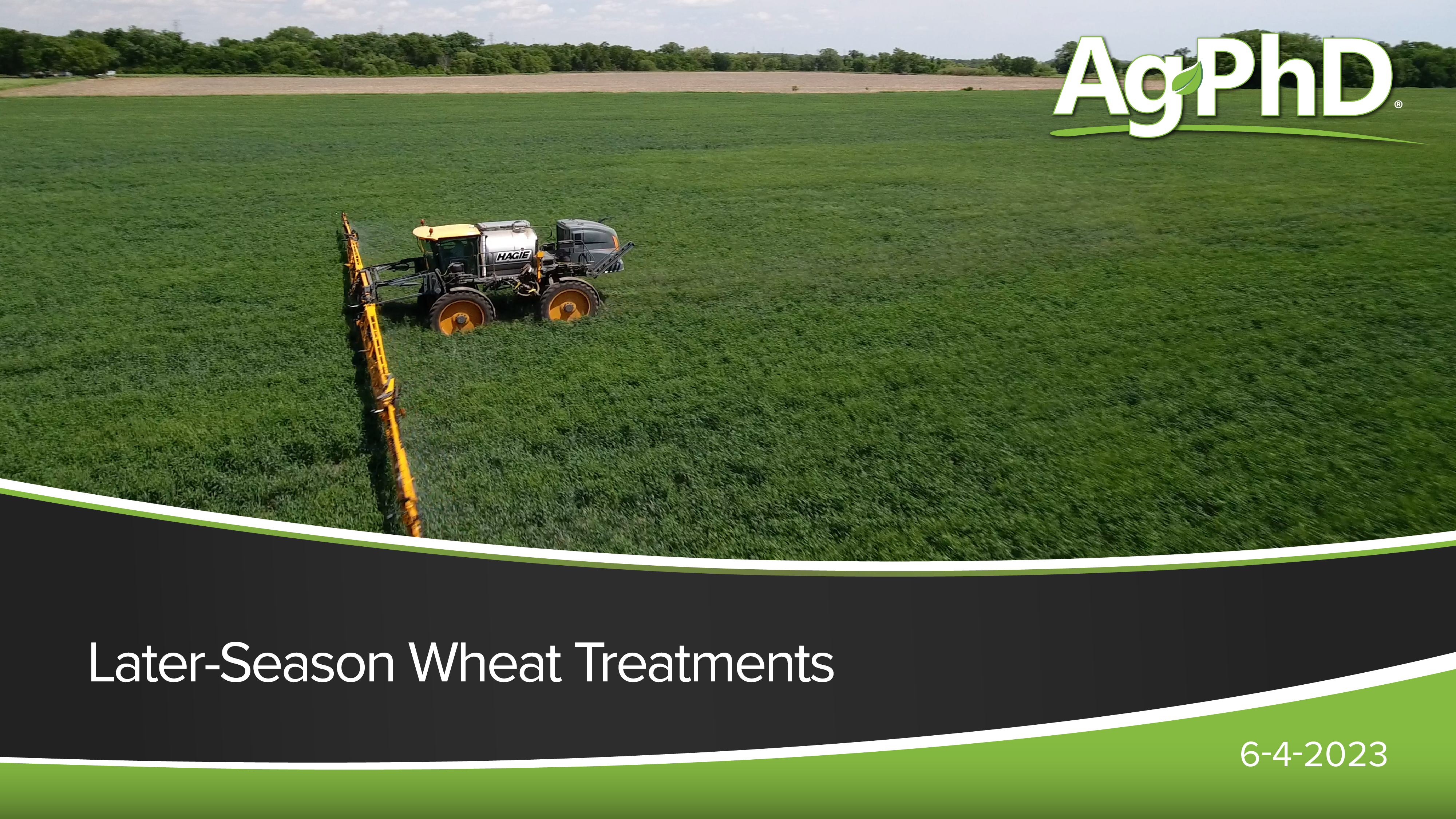 Later-Season Wheat Treatments | Ag PhD