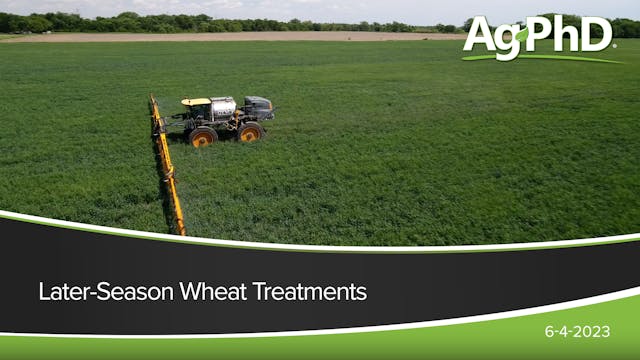 Later-Season Wheat Treatments | Ag PhD