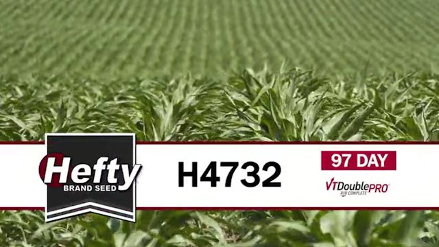 H4732 | 97-Day | VT2P