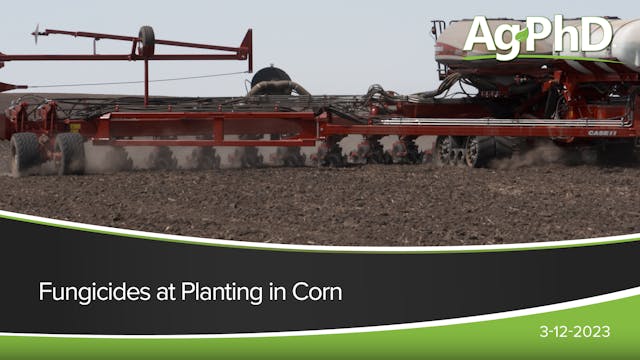Fungicides at Planting in Corn | Ag PhD