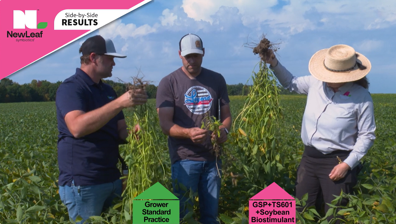 Battling White Mold in Soybeans | Pink Performance Tour | NewLeaf Symbiotics