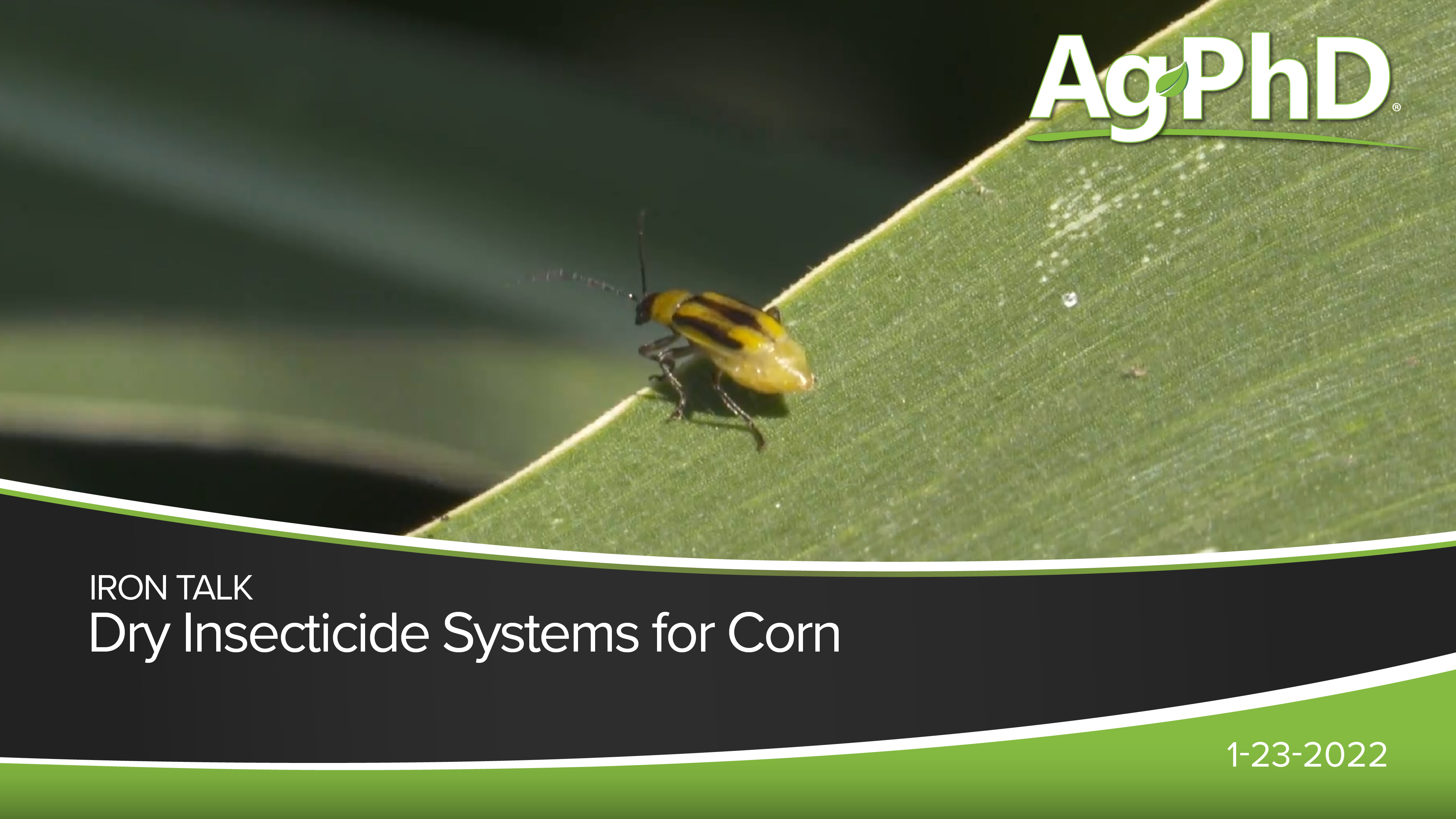 Dry Insecticide Systems for Corn | Ag PhD