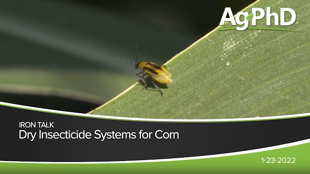 Dry Insecticide Systems for Corn