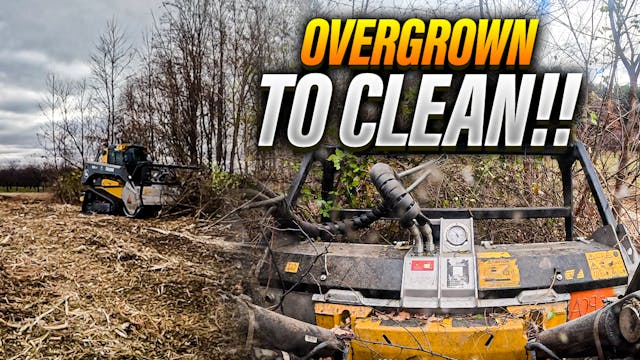 From Overgrown to Clean | Pomes and S...