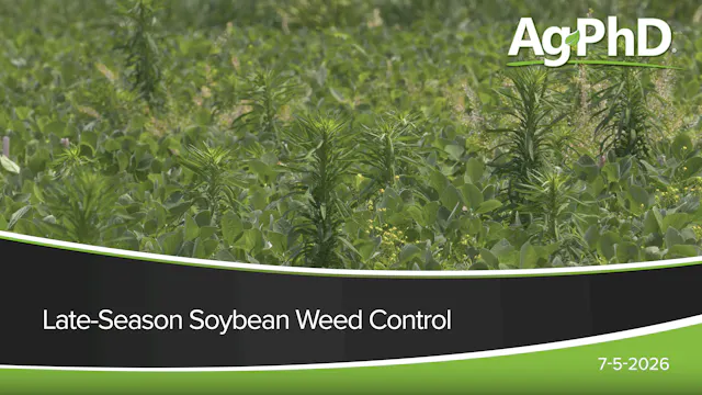Late-Season Soybean Weed Control | Ag...