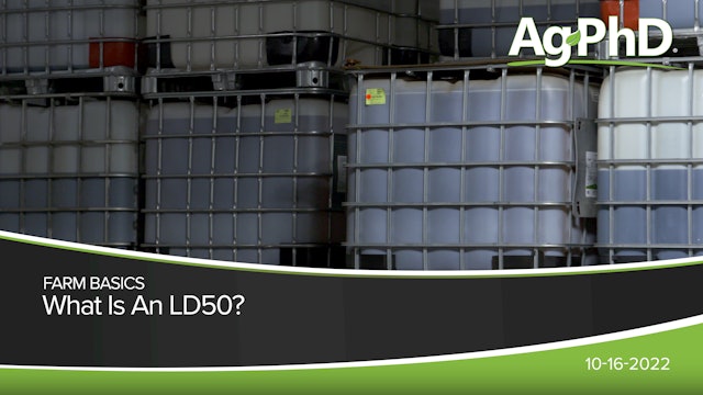 What Is An LD50?