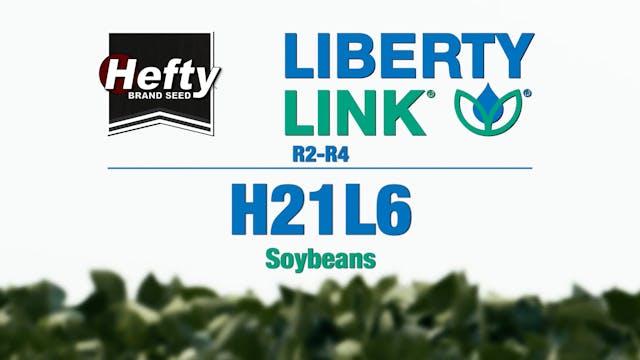 Hefty Brand Soybeans - LibertyLink H2...