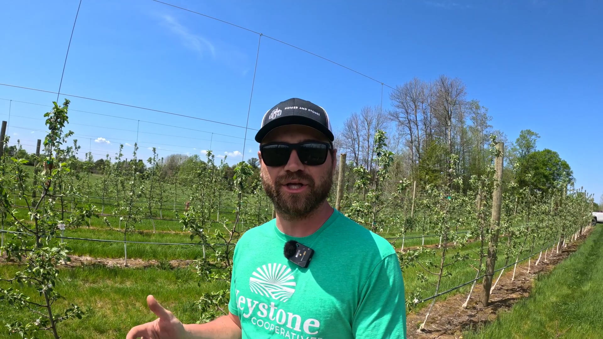 YOU Can Use THIS To Protect Fruit Trees From Frost!! | Pomes and Stones