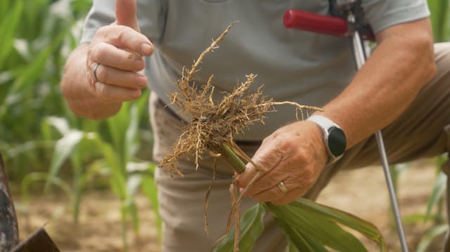 Forking Around | 307 | Live to Farm