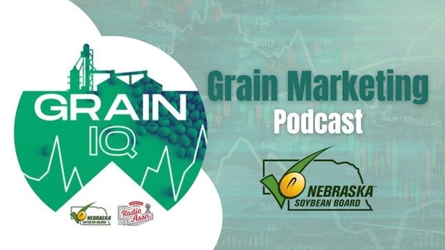 Grain IQ Podcast