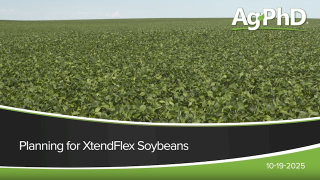 Planning for XtendFlex Soybeans | Ag PhD
