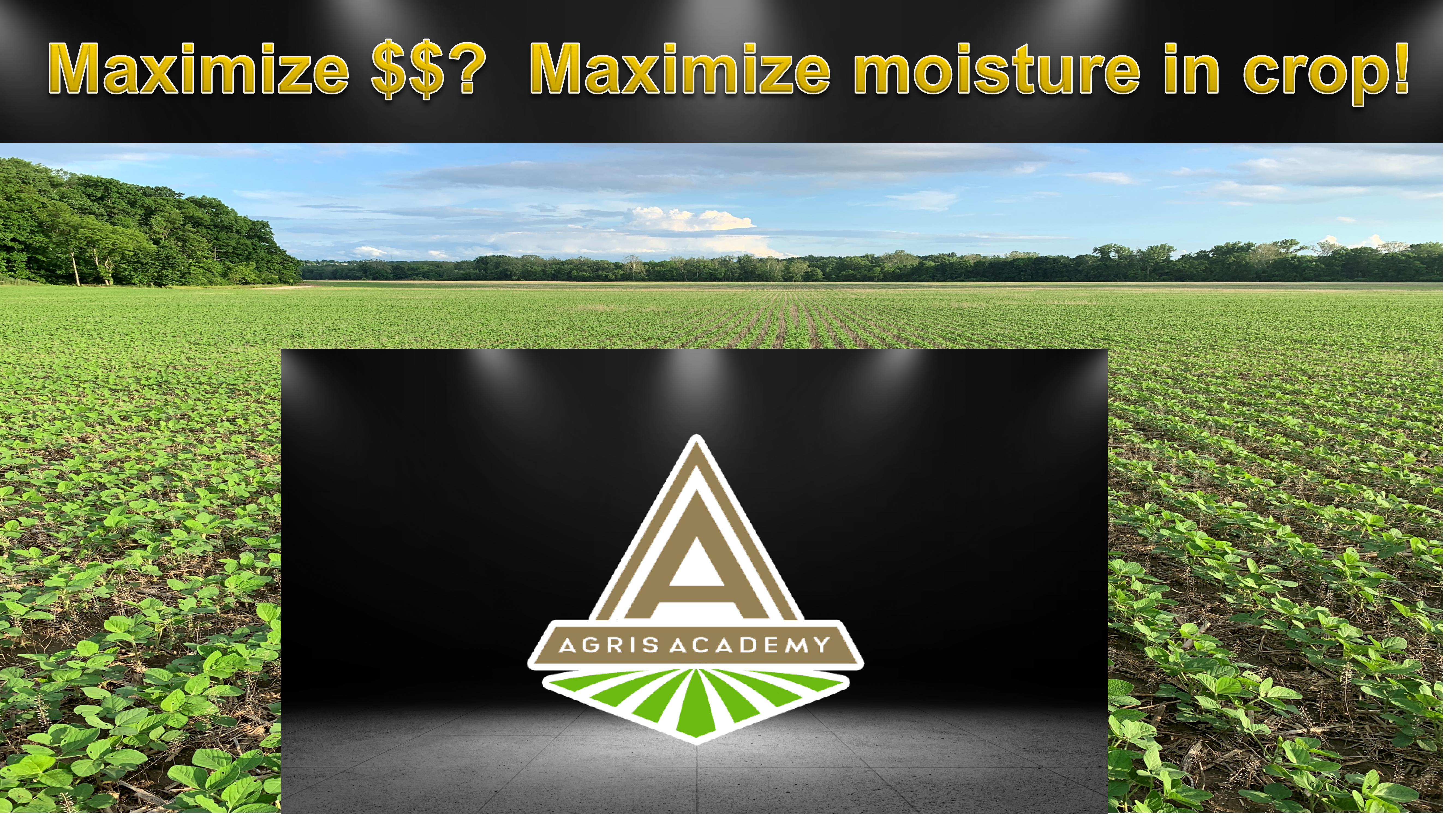 Maximize Moisture in Soybeans! | AgrisAcademy