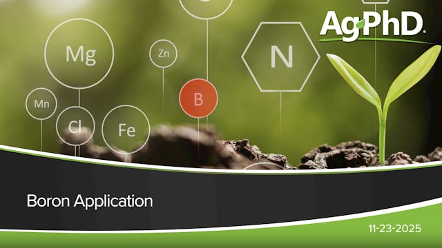 Boron Application | Ag PhD
