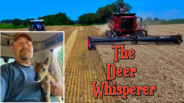 Still Life in These Old Legs! Wheat H...