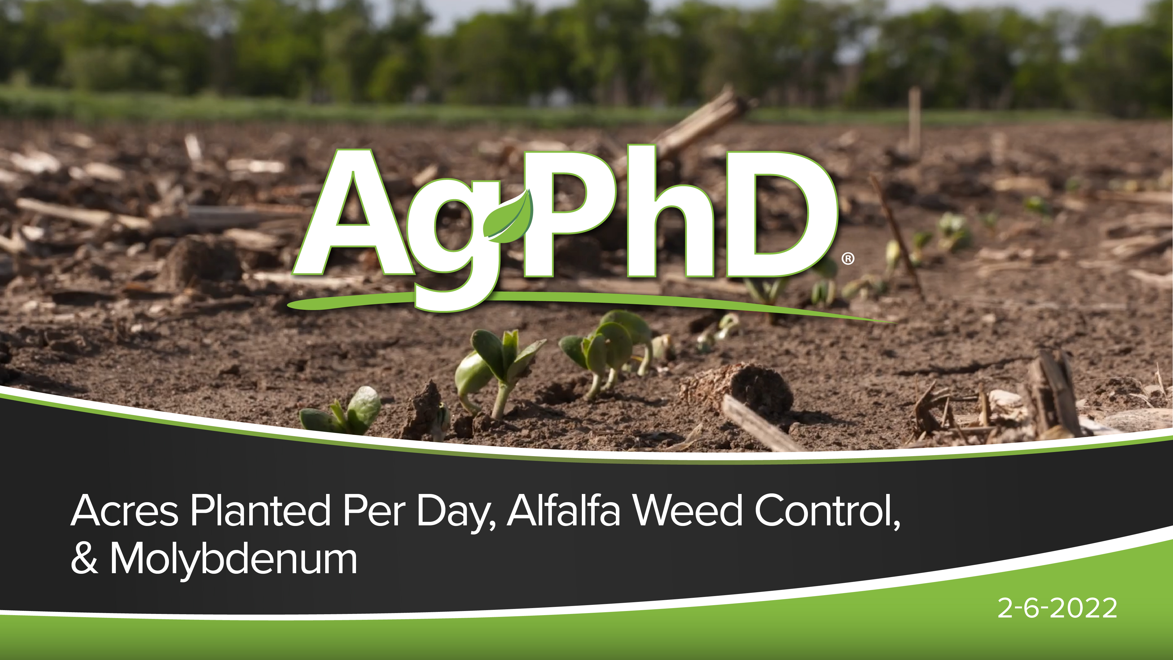 Acres Planted Per Day, Alfalfa Weed Control, Molybdenum | Ag PhD